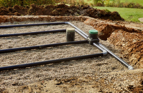 septic drain field